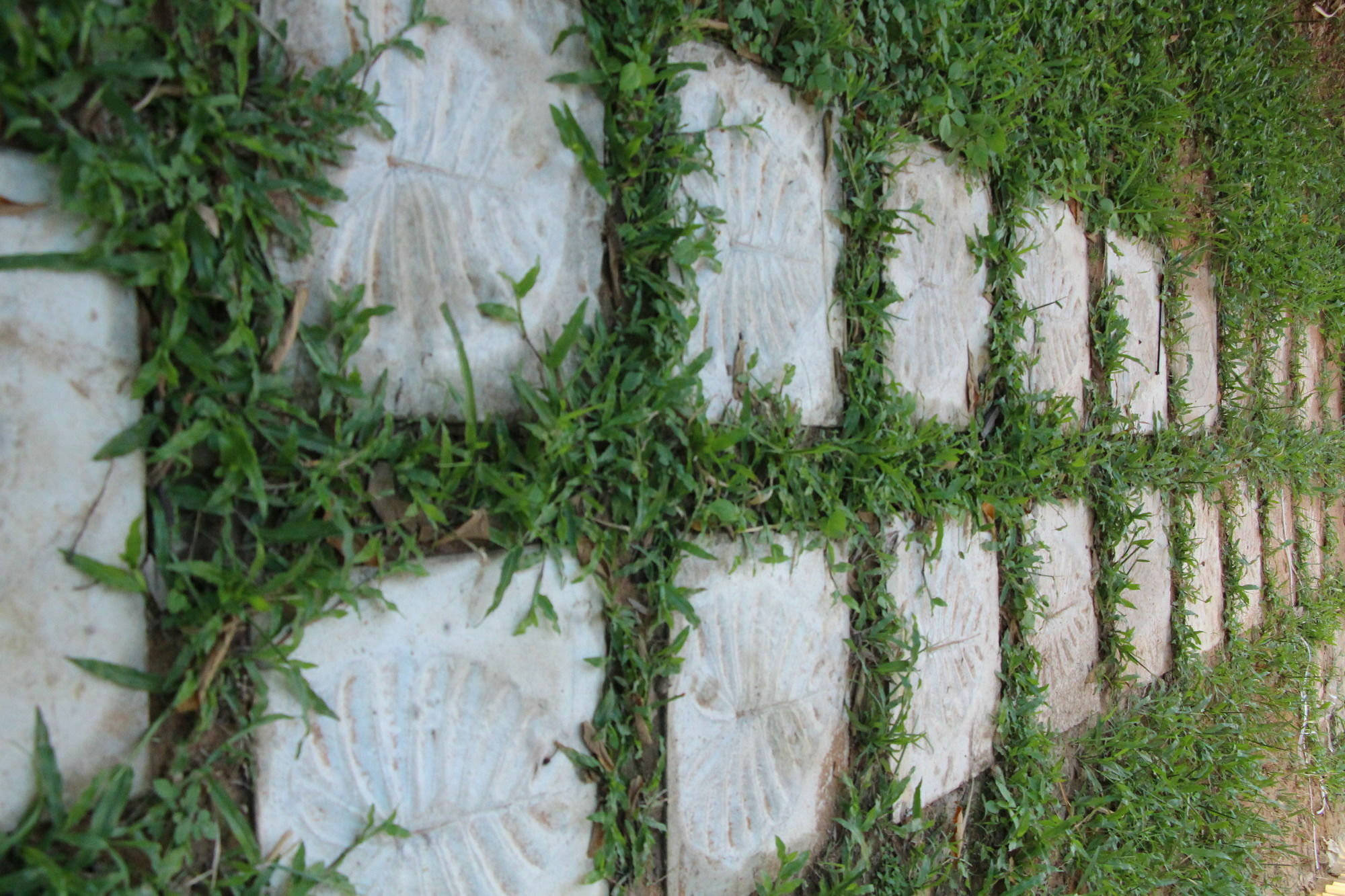 Areca Stay  Siem Reap Bagian luar foto