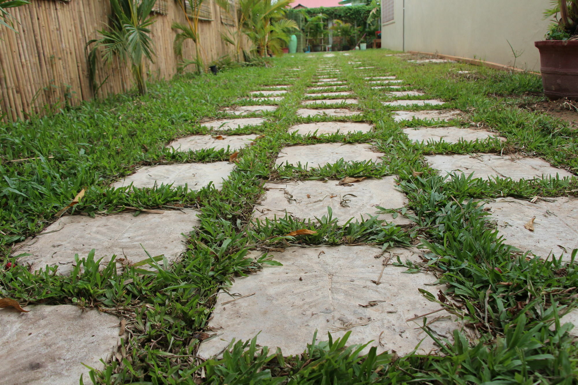 Areca Stay  Siem Reap Bagian luar foto